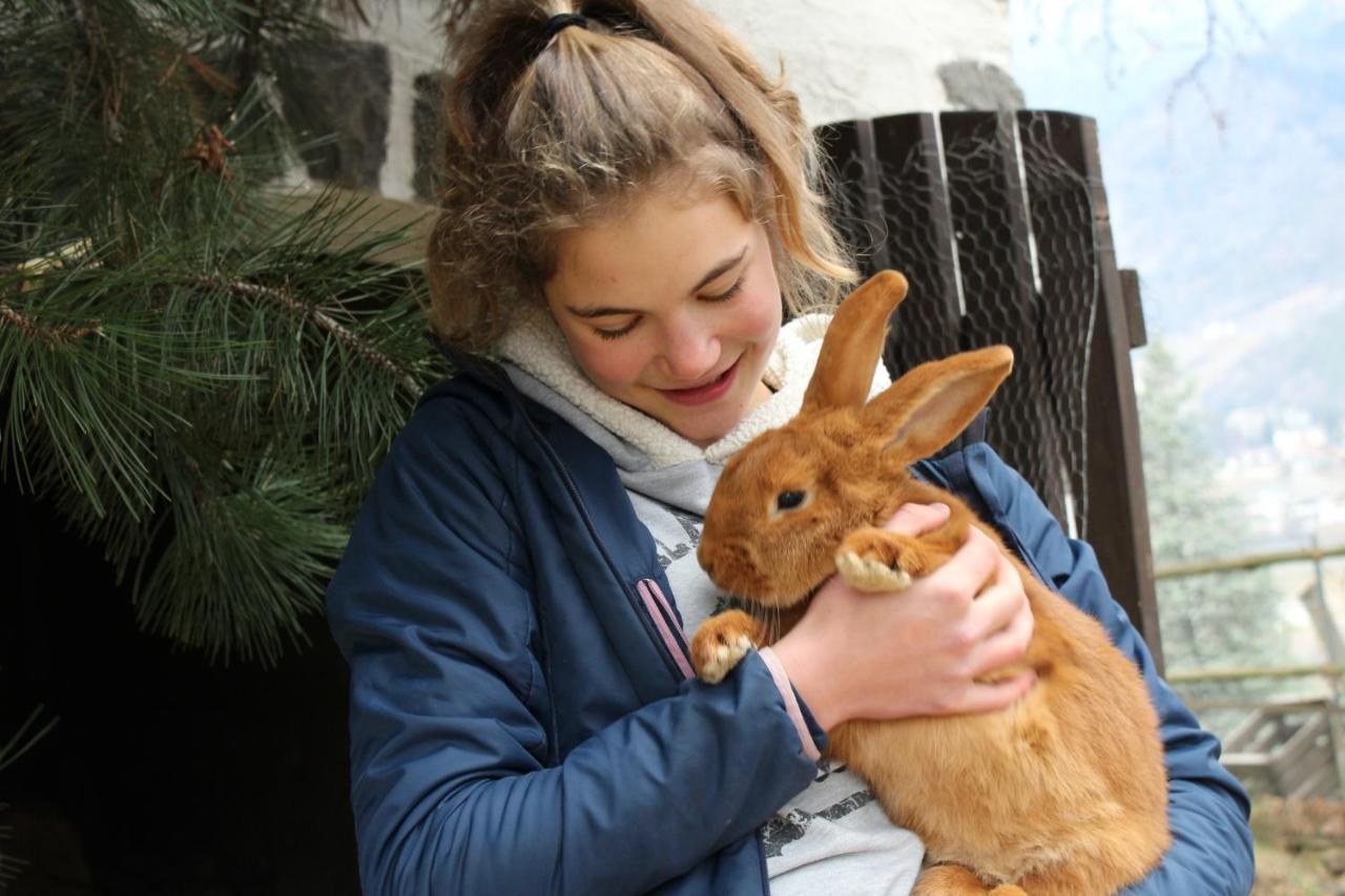 Moserhof Marlengo Bagian luar foto